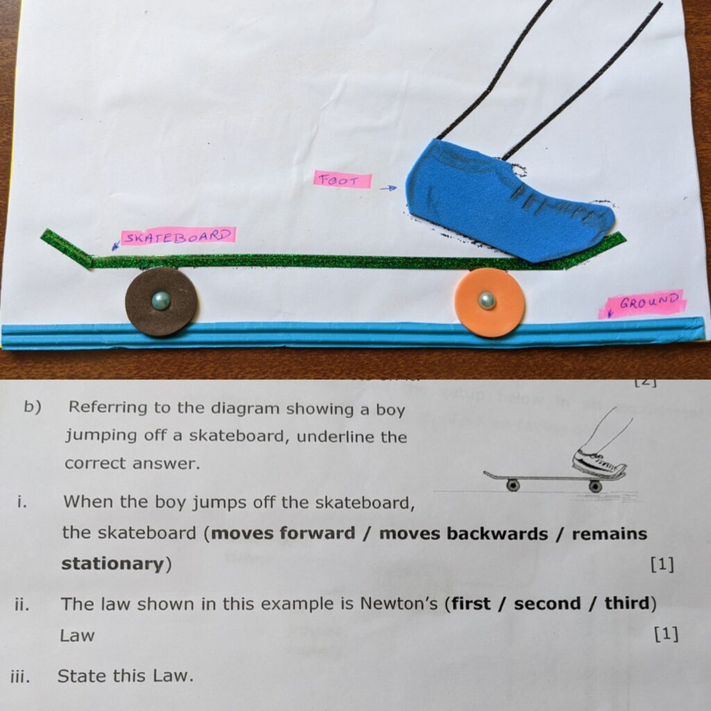 Physics Layout